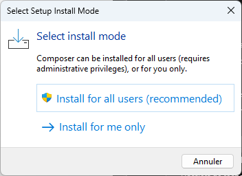 Capture d'écran install mode.